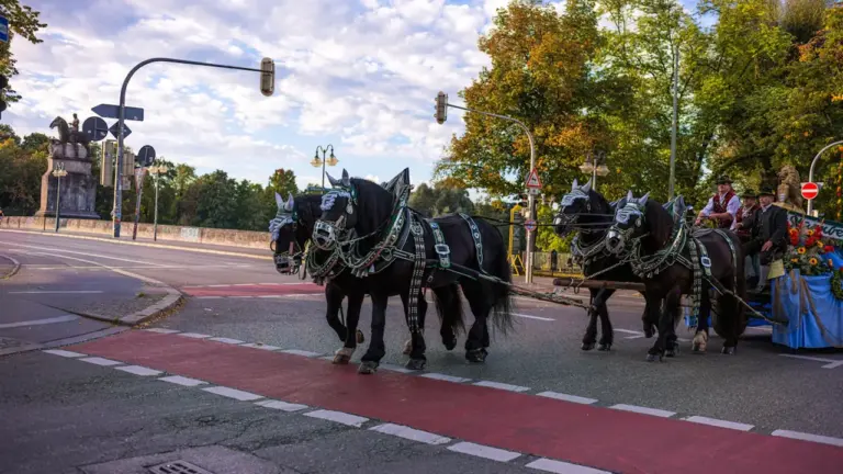 Zirgu pajūgs ar dekorētiem zirgiem dodas pa pilsētas ielu saulainā rudens dienā.