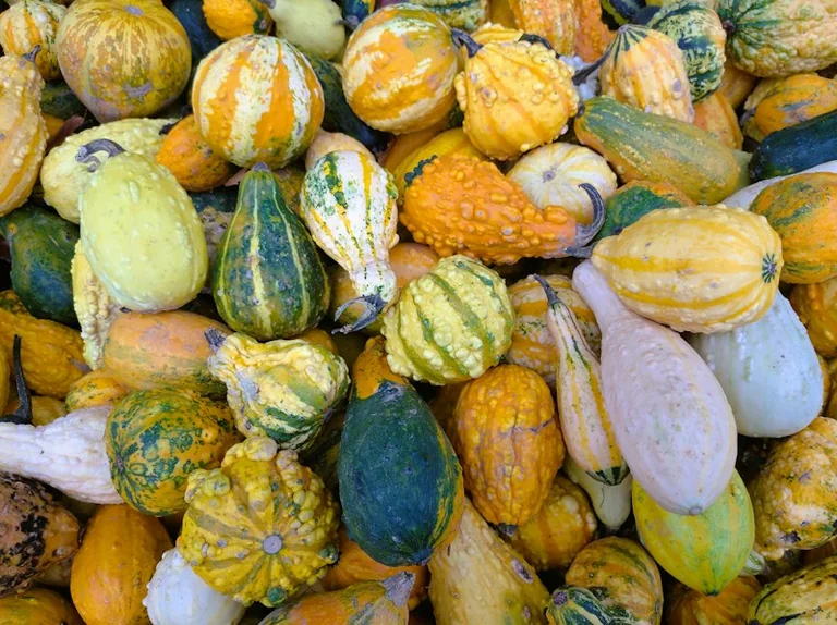 Miķeļdiena 29. septembrī: baznīcas datums un rudens tradīcijas