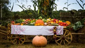Miķeļi 29. septembrī: ražas noslēgums un rudens tradīcijas