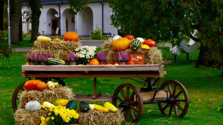 Miķeļi un Mārtiņi Latvijas rudens paražās