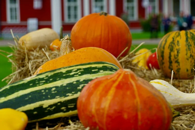 Miķeļi un Mārtiņi Latvijas rudens paražās
