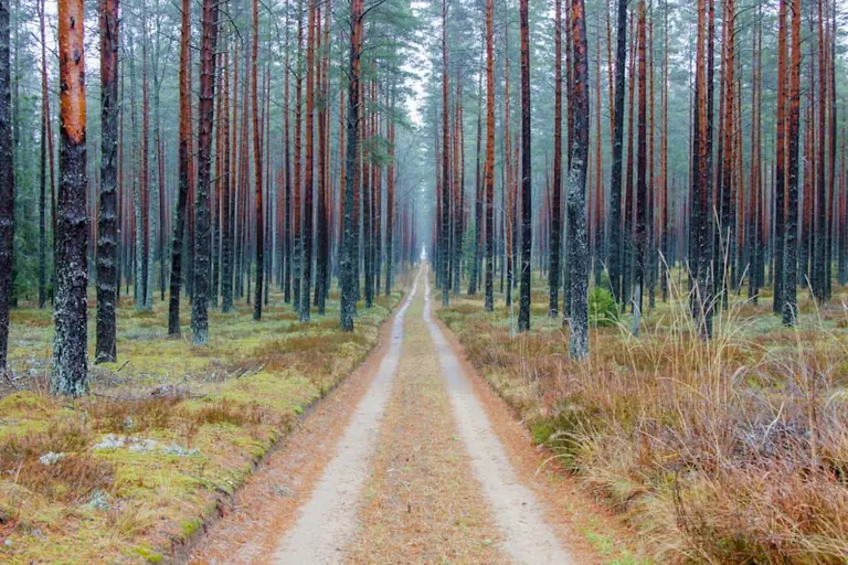 Pasaules tūrisma diena: izdevīgs rudens izbrauciens Latvijā