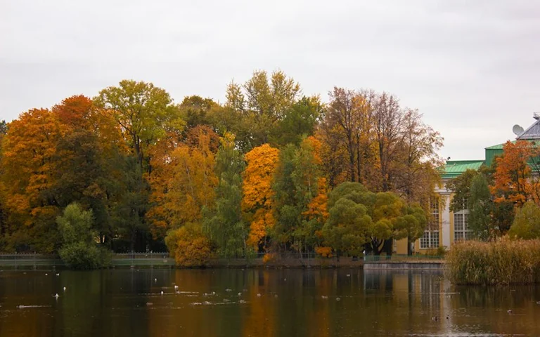 11. oktobris Latvijas vēsturē: ko atklāj rudens avoti